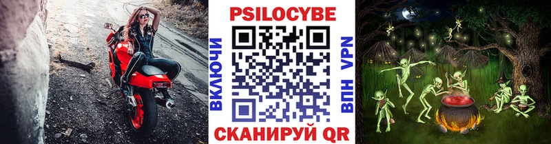 купить наркоту  MEGA рабочий сайт  Галлюциногенные грибы GOLDEN TEACHER  Юрьевец 